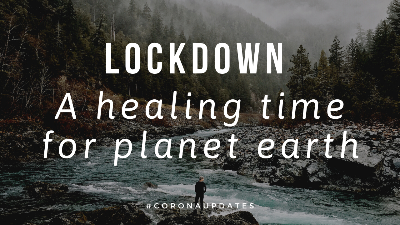 lockdown-healing-period-for-the-planet-earth-way2fresher